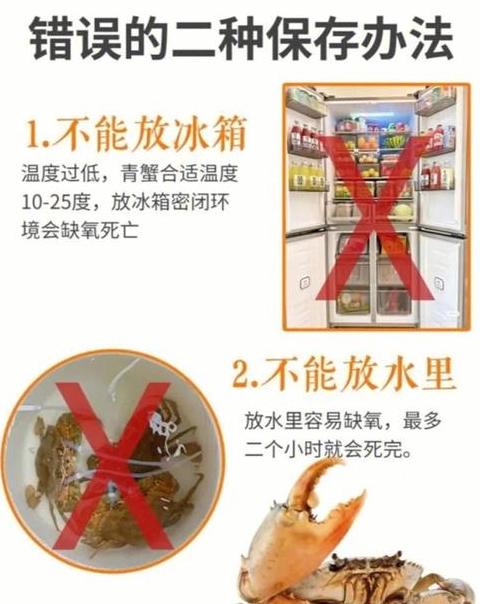螃蟹放入冰箱保存方法