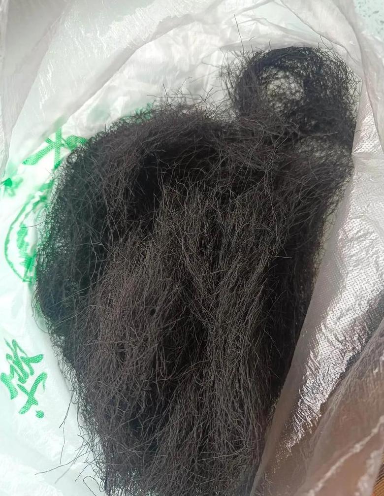 吃发菜为什么消化不了